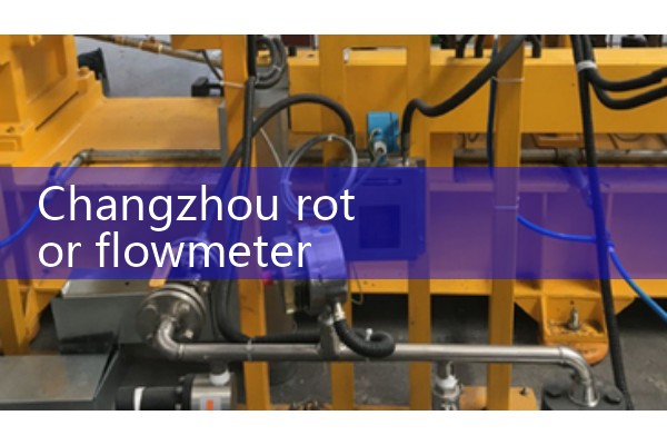 Changzhou rotor flowmeter
